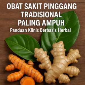 obat sakit pinggang tradisional paling ampuh